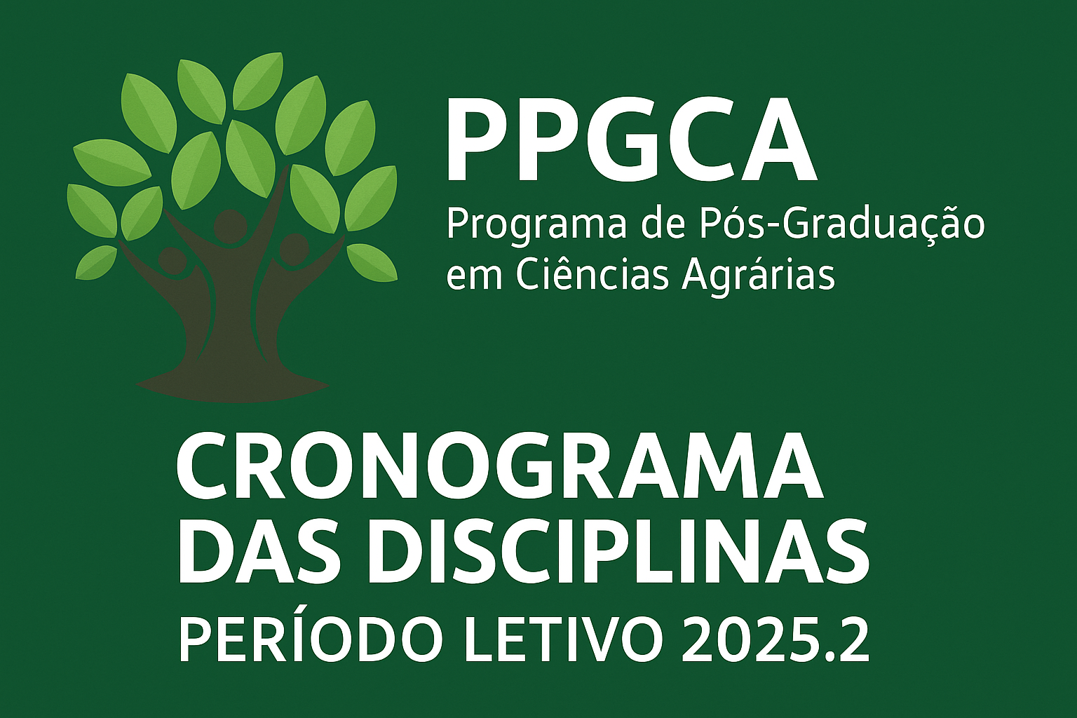 Cronograma disciplinas - período 2025.2